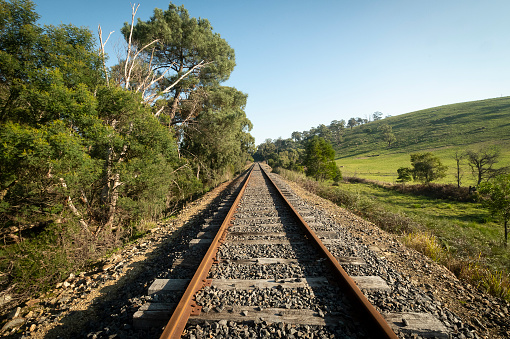 Healesville railway line