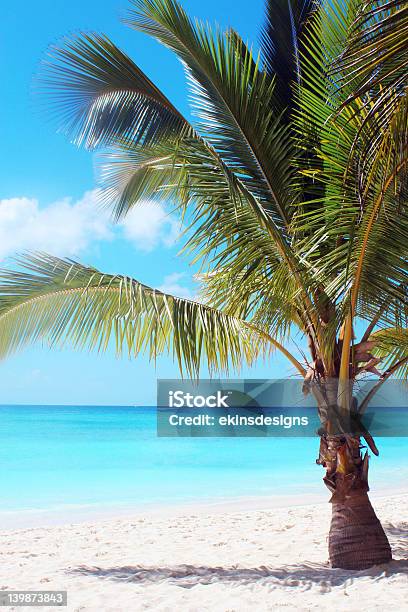 Palmy Na Tropikalnej Plaży - zdjęcia stockowe i więcej obrazów Ameryka Łacińska - Ameryka Łacińska, Chmura, Dorosły