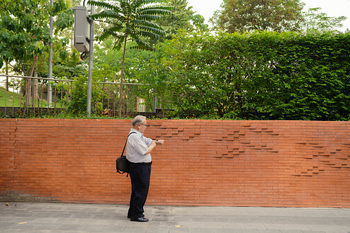 Happy senior businessman talking on phone while relaxing in nature.