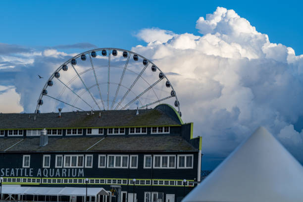 seattle cloudscape and ferris wheel - water tranquil scene puget sound cloudscape imagens e fotografias de stock