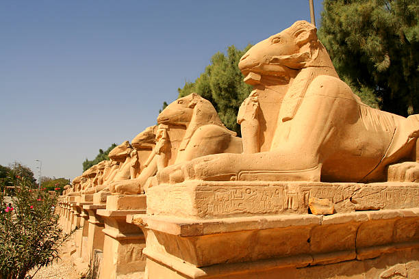 istock Avenue of ram-headed sphinxes 139874157