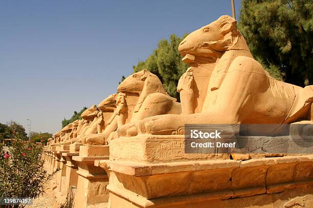 Foto de Avenida Das Esfinges Ramcabeça e mais fotos de stock de Cultura egípcia - Cultura egípcia, Egito, Rã