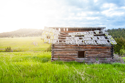 Old rustic abandoned wood cabin, on a bright green hillside with soft golden evening light at sunset.