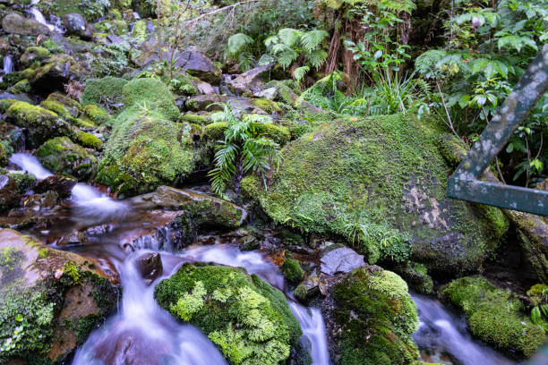 Spring water