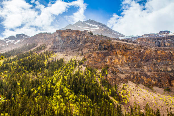 Snow capped rocky mountain terrain with scattered sky and a pine forest