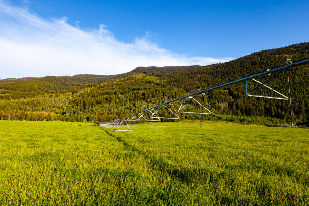 istock Agricultural farmlands setup for watering crops on a sunny day 1398743776