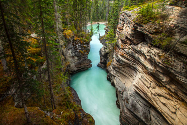 Teal flowing river rushing through a rocky gorge into aquamarine lake lined with pine trees