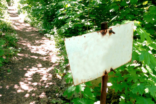 A sign in the forest in summer, near the road on a Sunny day stock photo