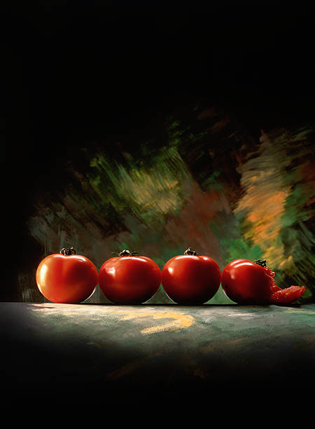 Linea di pomodori - foto stock