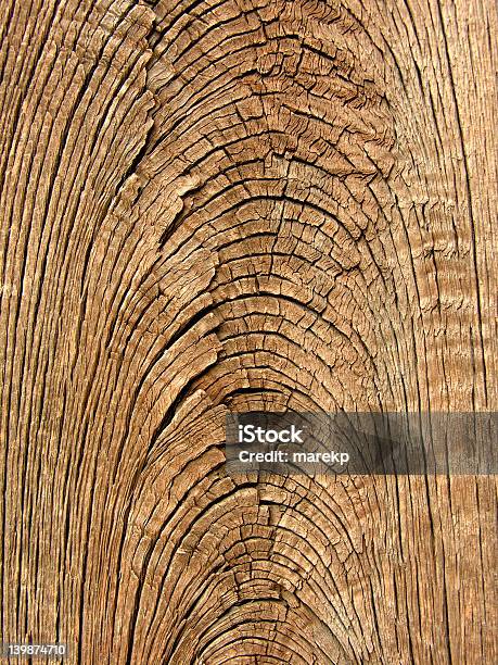 古い木目の質感 - オークの木のストックフォトや画像を多数ご用意 - オークの木, クローズアップ, トウヒ