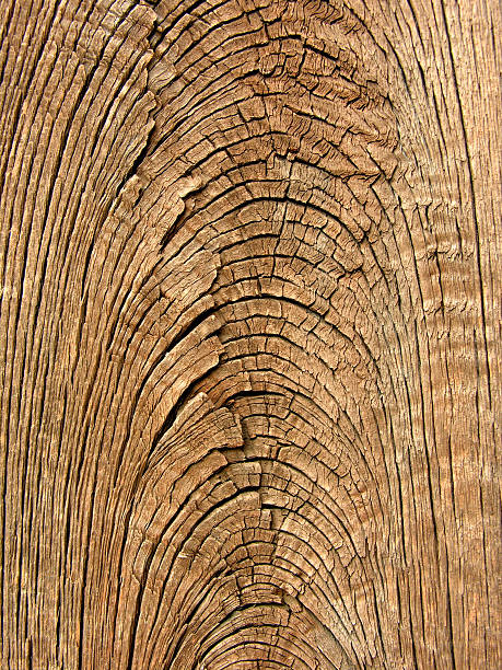 textura de madeira antiga grãos - cherrywood - fotografias e filmes do acervo