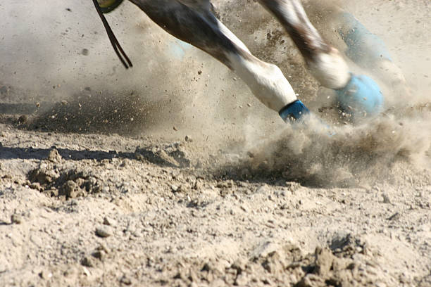 istock Horse Feet Racing 139874767