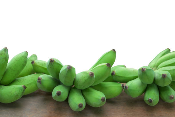 A close up view of a bunch of green bananas.  The  two bananas are not yet ripe enough to eat.  Isolated on a white background.