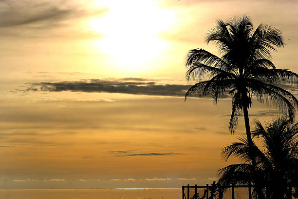 Seine Bight Sonnenuntergang – Foto