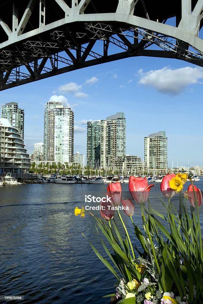 Primavera en Vancouver - Foto de stock de Primavera - Estación libre de derechos