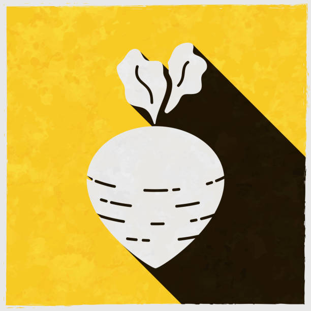 ilustrações de stock, clip art, desenhos animados e ícones de turnip. icon with long shadow on textured yellow background - root paper black textured