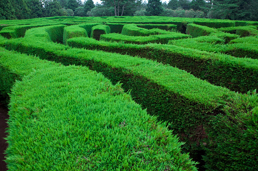 The garden is decorated in the shape of a maze.