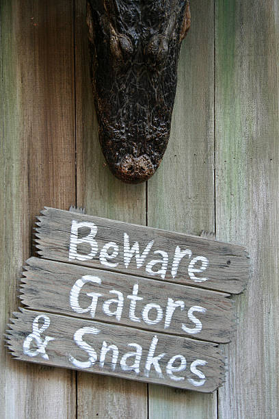 istock Beware of Gators and Snakes 139875434