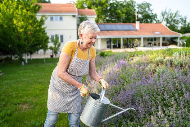 istock A retired lady spending time in her garden 1398755752
