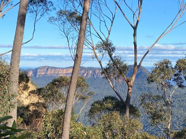 istock Landslide Lookout Blue Mountains National Park 1398755889