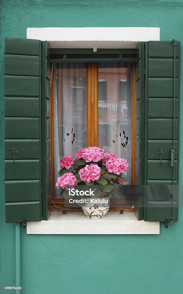 Okno z Hortensja - Zbiór zdjęć royalty-free (Bez ludzi)
