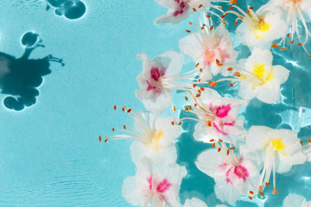 istock Chestnut flowers in light blue water 1398758156