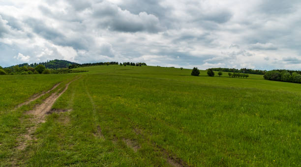 istock Springtime meadow with isolated trees and forest covered hill on the background in Bile Karpaty mountains in Czech republic 1398758161