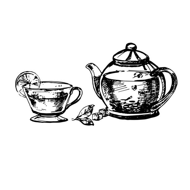 ilustrações, clipart, desenhos animados e ícones de esboço de comida - tea cup tea green tea chinese tea