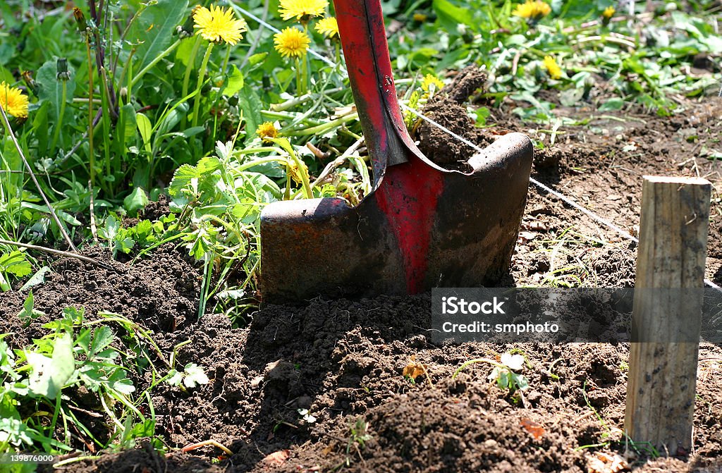 Preparando nuevas al jardín - Foto de stock de Actividad libre de derechos