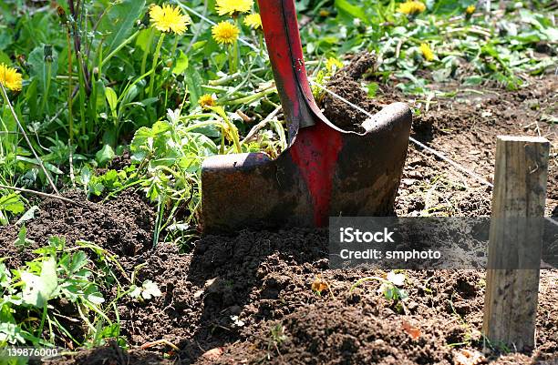 Preparando Nuevas Al Jardín Foto de stock y más banco de imágenes de Actividad - Actividad, Aire libre, Ajardinado