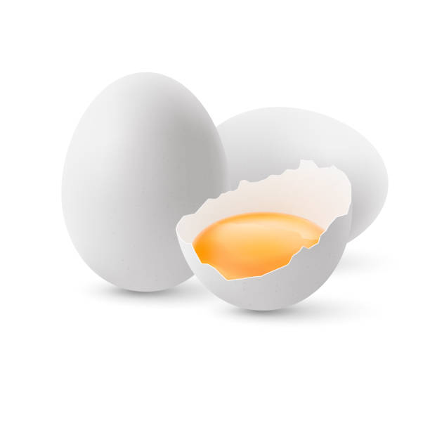 illustrazioni stock, clip art, cartoni animati e icone di tendenza di uova di gallina - eggs animal egg cracked egg yolk