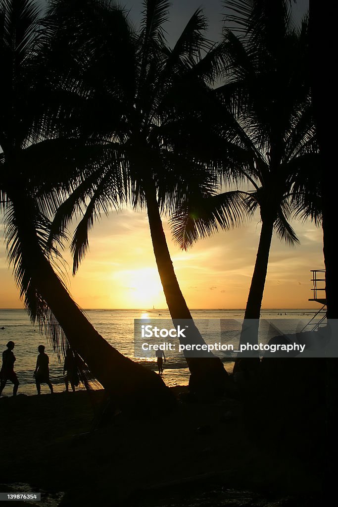 Hawaiian pôr-do-sol através de árvores - Foto de stock de Férias royalty-free
