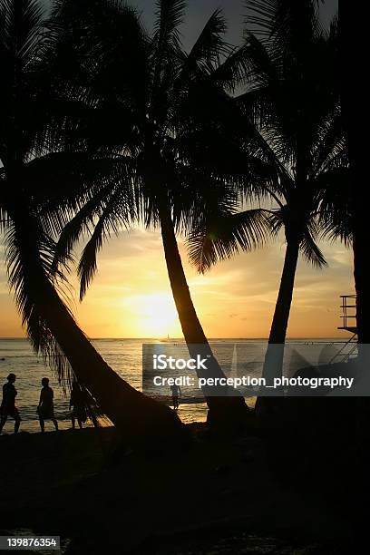 Foto de Hawaiian Pôrdosol Através De Árvores e mais fotos de stock de Férias - Férias, Pessoas, Praia