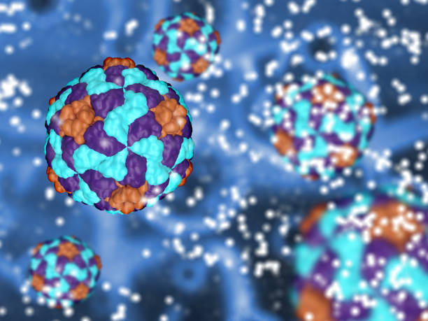 istock 3D medical background with Hepatitis A virus cells 1398763882