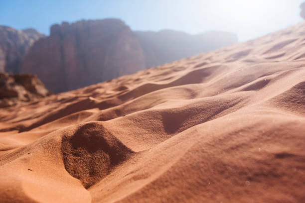 Traces in the desert sand
