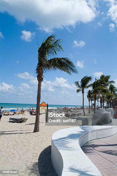 Fort Lauderdale Beach - zdjęcia stockowe i więcej obrazów Plaża - Plaża, Bez ludzi, Drzewo
