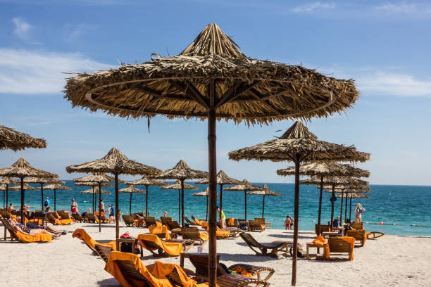 istock Abu Dhabi, UAE - Feb 3, 2019: Beach in Sir Bani Yas island. 1398765813