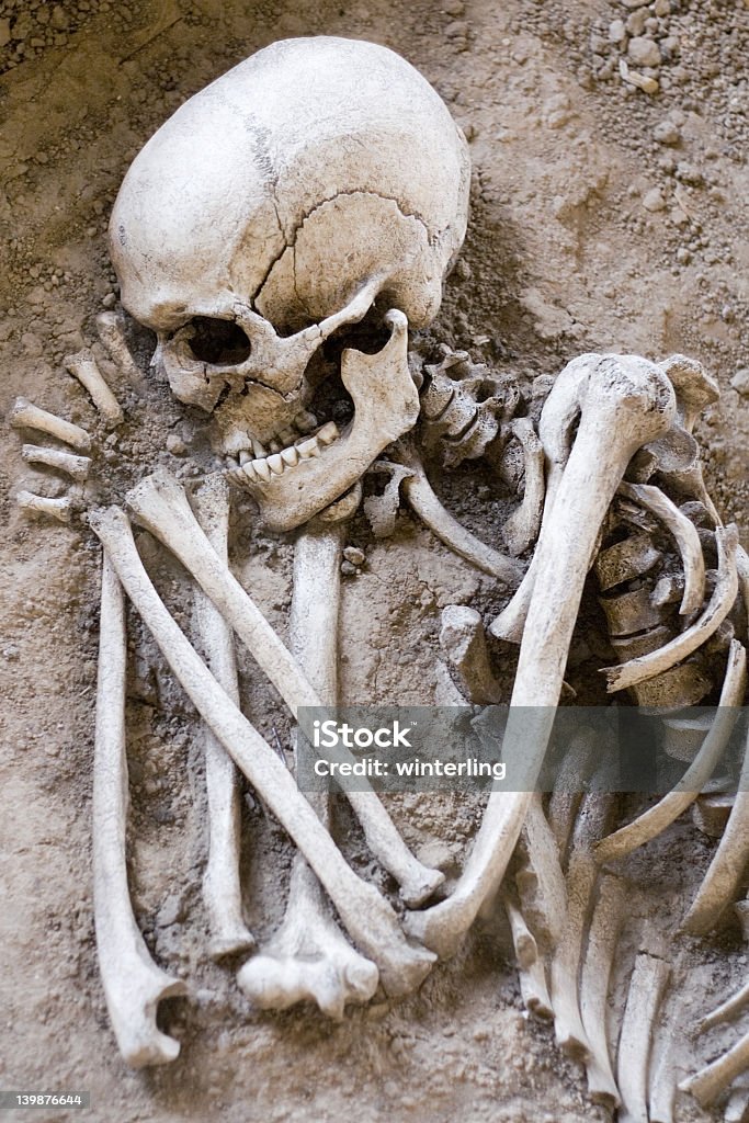 Esqueleto de dormir - Foto de stock de Alegoria royalty-free