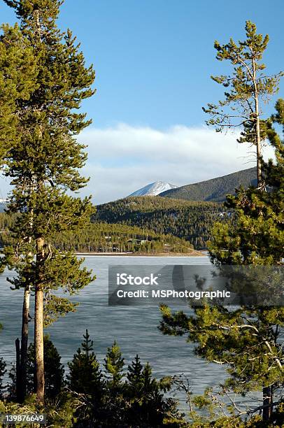 Lago Gelado - Fotografias de stock e mais imagens de Ao Ar Livre - Ao Ar Livre, Atividade Recreativa, Congelado