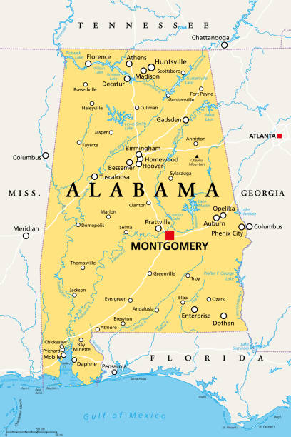 Alabama, AL, political map, US state, nicknamed The Yellowhammer State Alabama, AL, political map with the capital Montgomery, cities, rivers and lakes. State in the Southeastern region of the United States, nicknamed Yellowhammer State, Heart of Dixie, and Cotton State. alabama map stock illustrations