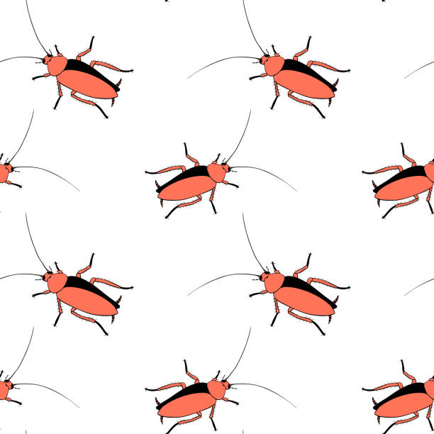 Cockroach Pattern Texture 50+ Oriental Cockroach Stock Photos, Pictures & Royalty-Free Images ...