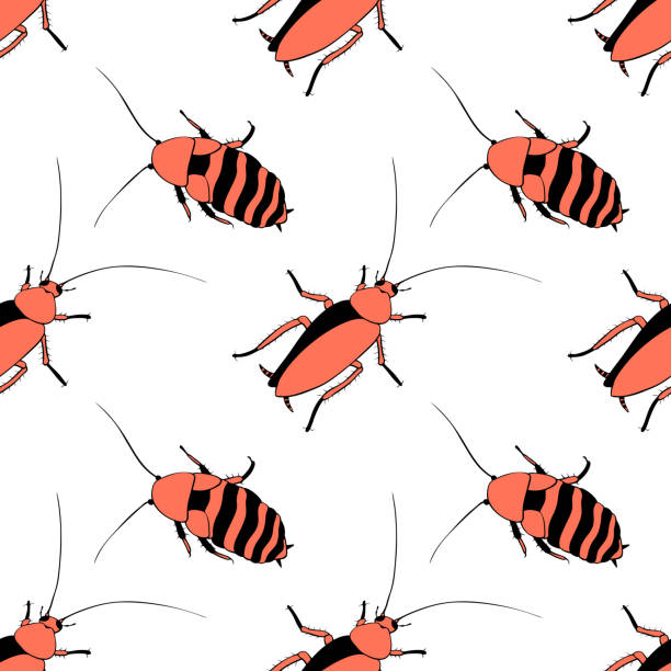 Cockroach Pattern Texture 50+ Oriental Cockroach Stock Photos, Pictures & Royalty-Free Images ...