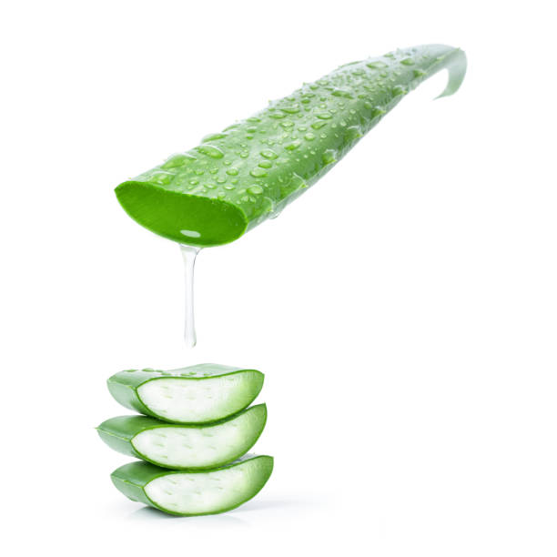 Aloe vera leaf and aloe gel Aloe vera leaf with water drops and aloe gel dripping isolated on white background. medicine and science drop close up studio shot stock pictures, royalty-free photos & images