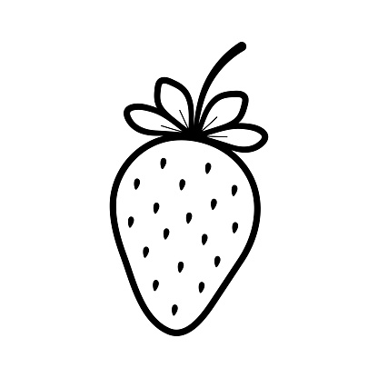 Strawberry. Hand drawn sketch icon of berry. Isolated vector illustration in doodle line style.