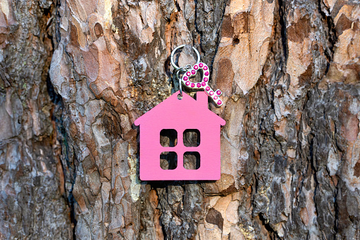 Small key decorated with rhinestones having a pink house shaped keychain hangs on a tree trunk outdoors. Sweet home concept.