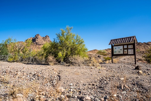 A wooden cottage and leafless trees in a semi-desert place with mountains in the background on a sunny day