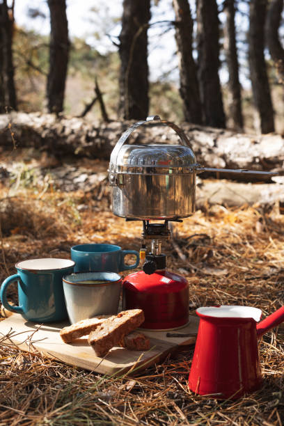 istock tourist picnic in the forest 1398778159