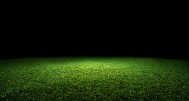 istock Green lawn illuminated by light and black background. 1398778693