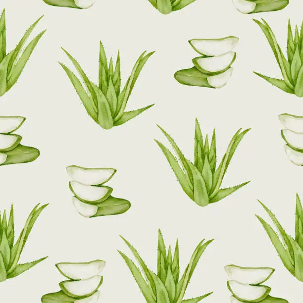 Vector illustration of seamless Aloe vera in watercolor collection flat vector