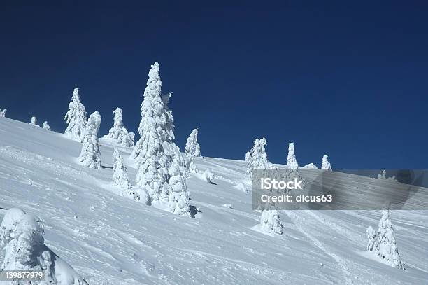 Foto de Winter Scene e mais fotos de stock de Animal selvagem - Animal selvagem, Antártica, Aventura